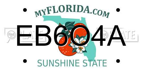 EB6O4A Florida License Plate