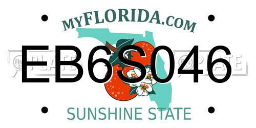 EB6S046 Florida License Plate