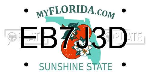 EB7J3D Florida License Plate