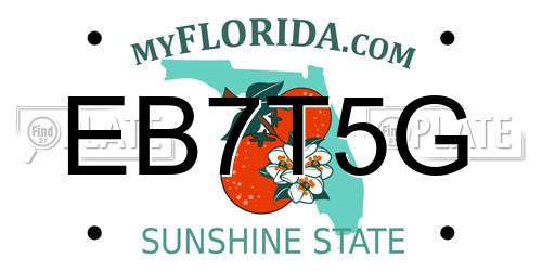 EB7T5G Florida License Plate