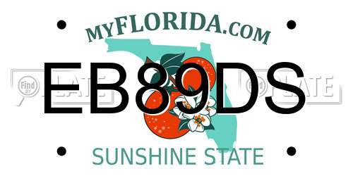 EB89DS Florida License Plate