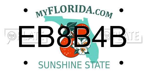 EB8B4B Florida License Plate