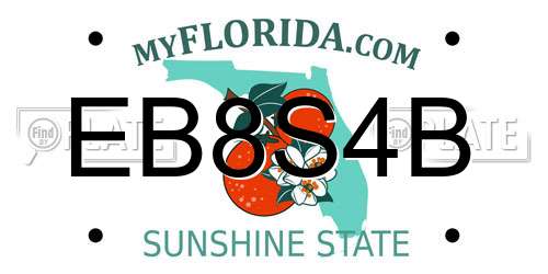 EB8S4B Florida License Plate