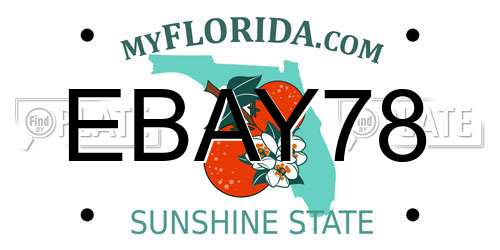 EBAY78 Florida License Plate