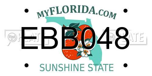 EBB048 Florida License Plate