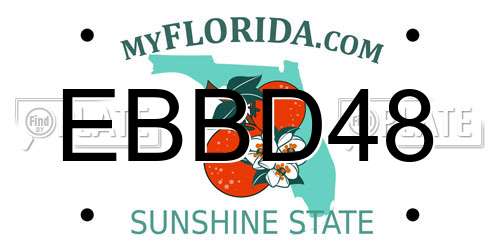 EBBD48 Florida License Plate
