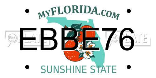 EBBE76 Florida License Plate