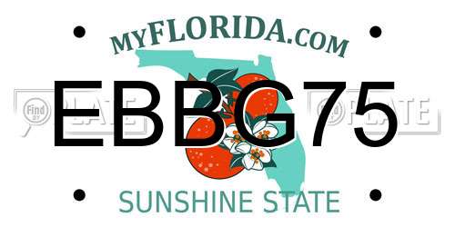EBBG75 Florida License Plate