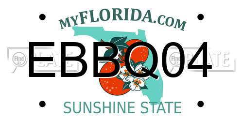 EBBQ04 Florida License Plate