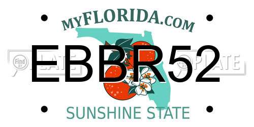 EBBR52 Florida License Plate
