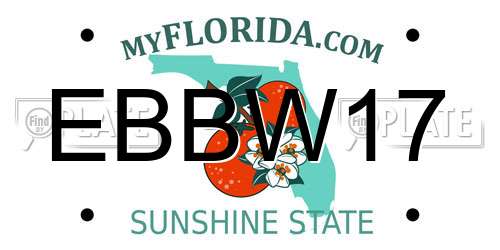 EBBW17 Florida License Plate