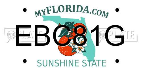 EBC81G Florida License Plate