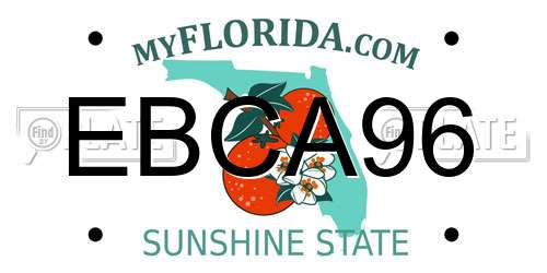 EBCA96 Florida License Plate