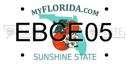 EBCE05 Florida License Plate