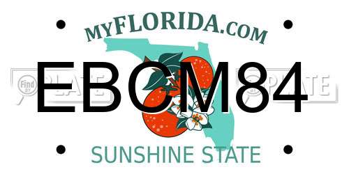 EBCM84 Florida License Plate