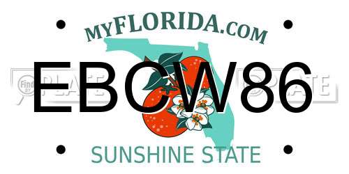 EBCW86 Florida License Plate