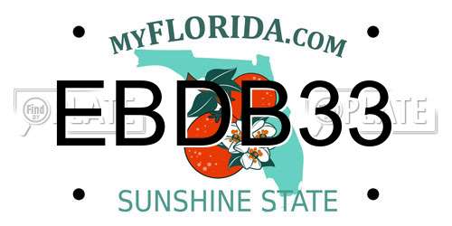 EBDB33 Florida License Plate