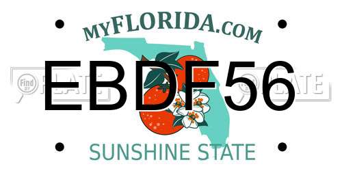 EBDF56 Florida License Plate