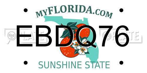 EBDQ76 Florida License Plate