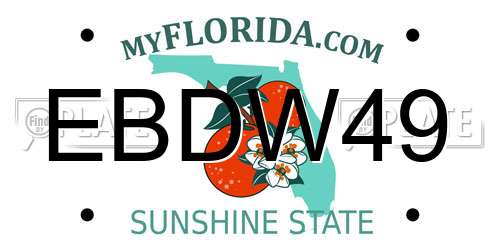 EBDW49 Florida License Plate