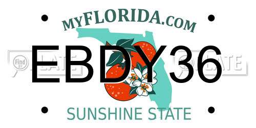 EBDY36 Florida License Plate