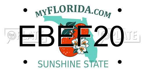 EBEF20 Florida License Plate