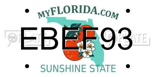 EBEF93 Florida License Plate