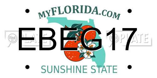 EBEG17 Florida License Plate