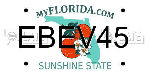 EBEV45 Florida License Plate
