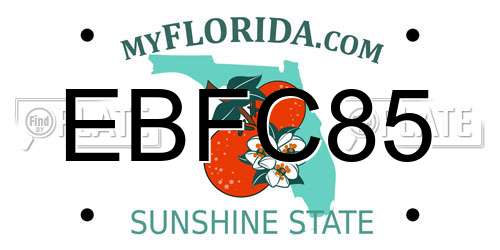EBFC85 Florida License Plate