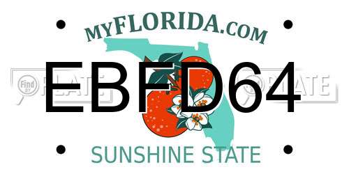 EBFD64 Florida License Plate
