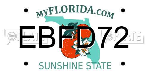 EBFD72 Florida License Plate