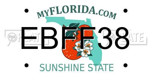 EBFF38 Florida License Plate