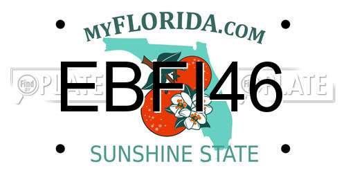 EBFI46 Florida License Plate