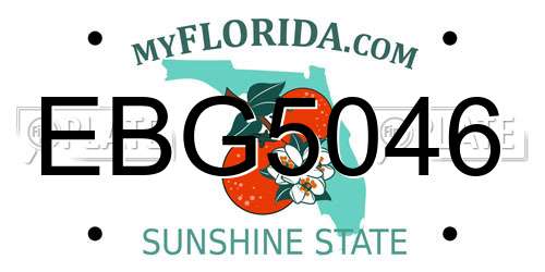 EBG5046 Florida License Plate