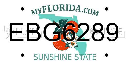 EBG6289 Florida License Plate