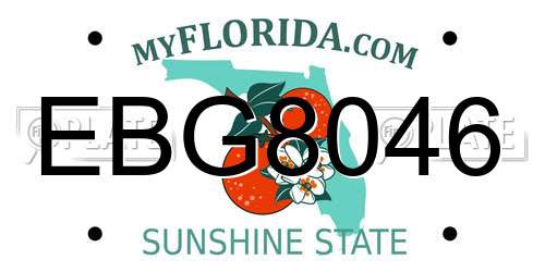 EBG8046 Florida License Plate