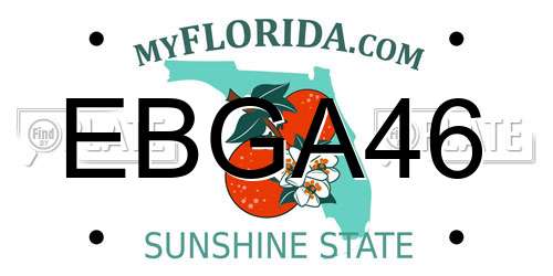 EBGA46 Florida License Plate