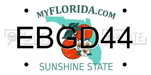 EBGD44 Florida License Plate