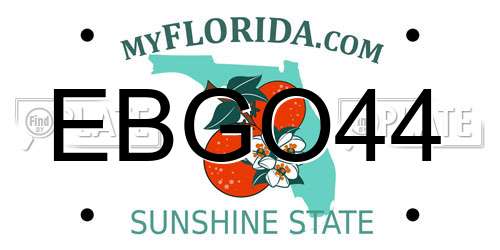 EBGO44 Florida License Plate
