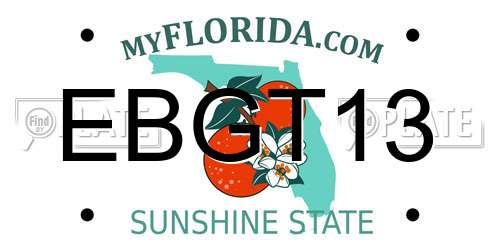 EBGT13 Florida License Plate