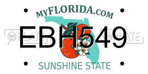 EBH549 Florida License Plate