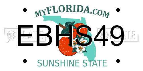 EBHS49 Florida License Plate