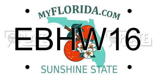 EBHW16 Florida License Plate