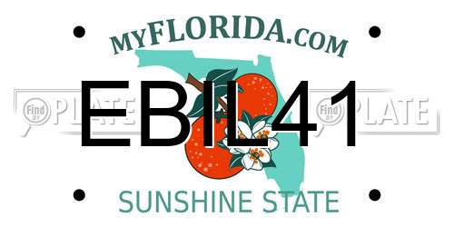 EBIL41 Florida License Plate