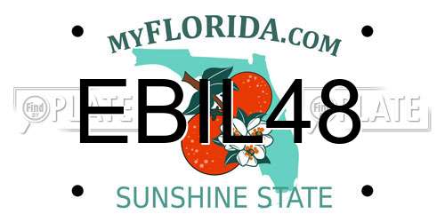 EBIL48 Florida License Plate