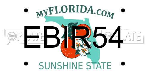 EBIR54 Florida License Plate