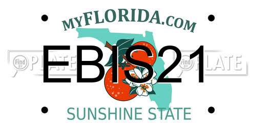 EBIS21 Florida License Plate