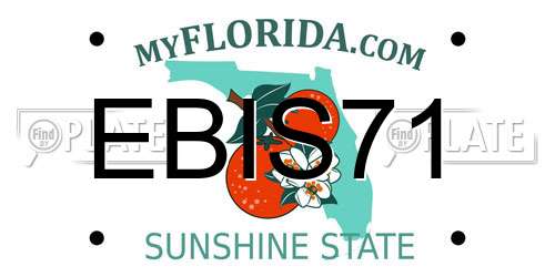EBIS71 Florida License Plate