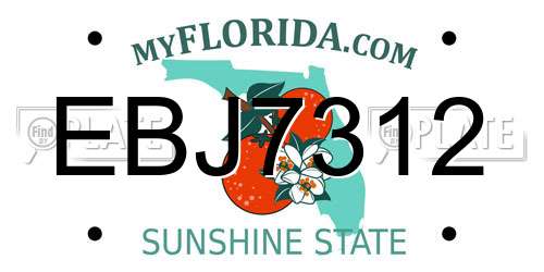 EBJ7312 Florida License Plate